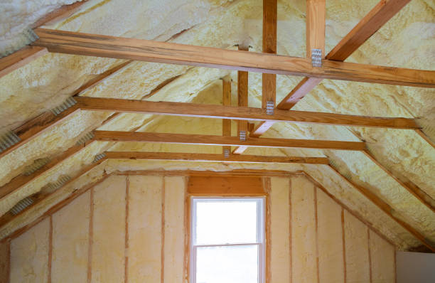 Best Eco-Friendly Insulation in Trainer, PA