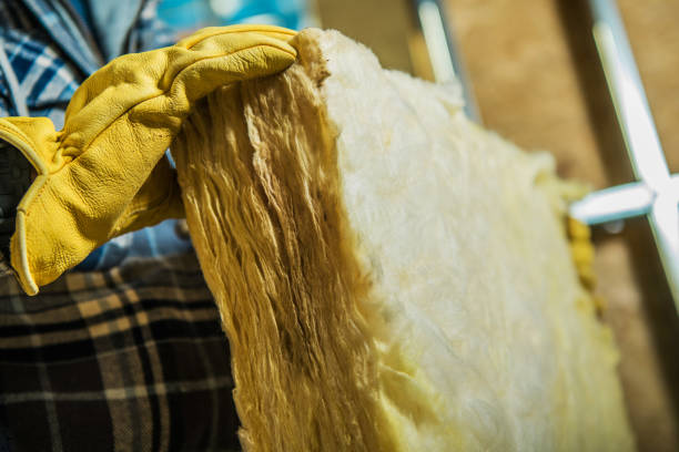 Best DIY Insulation Kits and Guidance in Trainer, PA